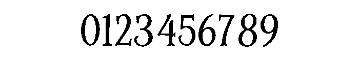 Noctis Serif Font OTHER CHARS