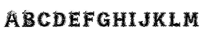 Norlan Regular FONT