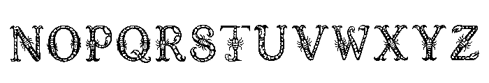 Norman Regular Font UPPERCASE