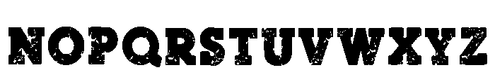 Norton Vintage Regular Font LOWERCASE
