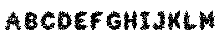 Norvik Regular FONT