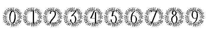 Novara Monogram Font OTHER CHARS