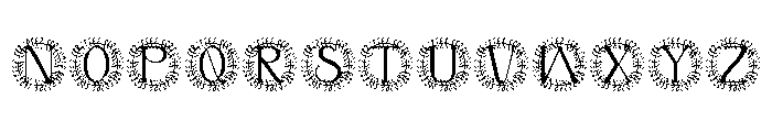 Novara Monogram Font UPPERCASE