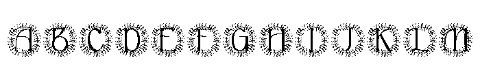 Novara Monogram FONT