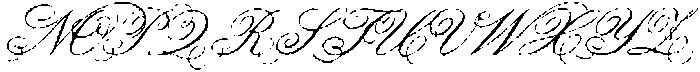Noir Ink Regular otf (400) Font UPPERCASE