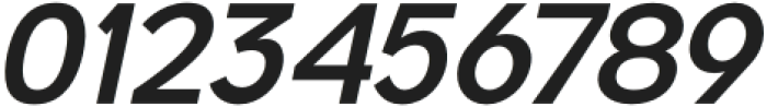 Normal Bold Condensed Italic otf (400) Font OTHER CHARS