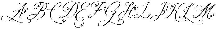 North Elm Regular otf (400) Font UPPERCASE