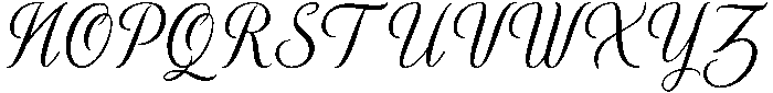 November Script otf (400) Font UPPERCASE
