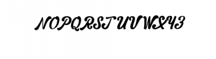 norty script.otf Font UPPERCASE