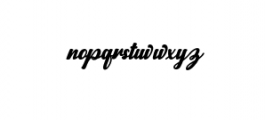 norty script.otf Font LOWERCASE