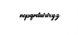 norty script.ttf Font LOWERCASE