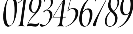 Norman Italic 2 Font OTHER CHARS