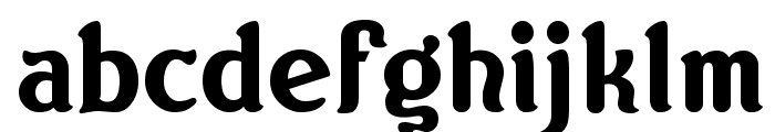 Norton Font LOWERCASE