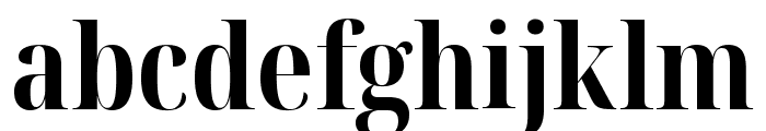 Noto Serif Display Condensed Bold Font LOWERCASE