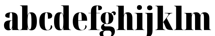 Noto Serif Display ExtraCondensed Black Font LOWERCASE