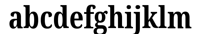 Noto Serif ExtraCondensed Bold Font LOWERCASE