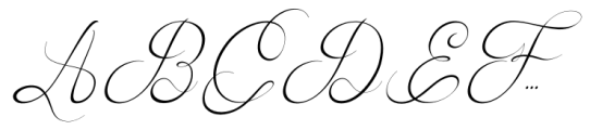 Noble Flourish Script Font UPPERCASE
