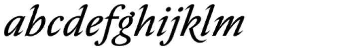 Nocturne Serif Italic Font LOWERCASE