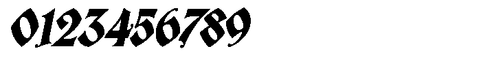 Nomen Est Omen Bold Italic Font OTHER CHARS