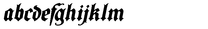 Nomen Est Omen Bold Italic FONT