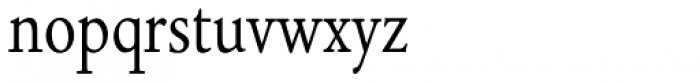 Norlik Condensed Font LOWERCASE