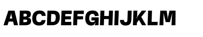 Norton Typeface Bold Font UPPERCASE
