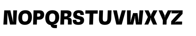 Norton Typeface Bold Font UPPERCASE