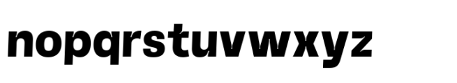 Norton Typeface Bold Font LOWERCASE