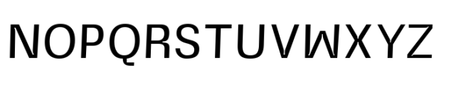 Norton Typeface Normal Font UPPERCASE