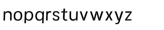 Norton Typeface Normal Font LOWERCASE