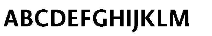 Novel Sans Cyrillic Condensed Bold Font UPPERCASE