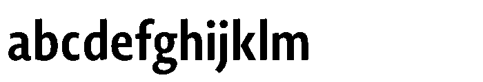 Novel Sans Cyrillic XCondensed Bold FONT
