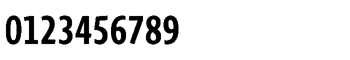 Novel Sans Cyrillic XXCondensed Bold Font OTHER CHARS