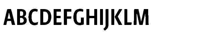 Novel Sans Cyrillic XXCondensed Bold Font UPPERCASE