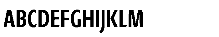 Novel Sans Cyrillic XXXCondensed Bold Font UPPERCASE