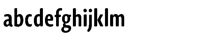 Novel Sans Rounded Arabic XXCnd Bold FONT