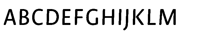 Novel Sans Rounded Cyrillic Medium Italic Font UPPERCASE