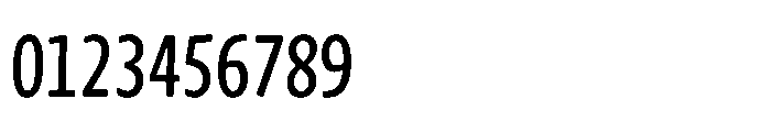 Novel Sans Rounded XXXCnd Medium Italic Font OTHER CHARS