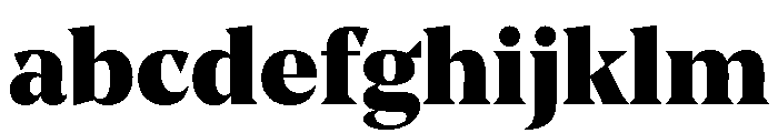 NoeStandard Black FONT