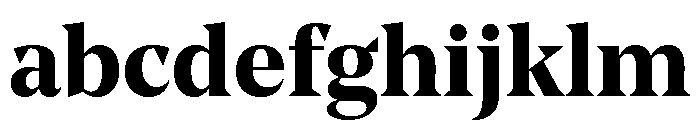 NoeStandard Bold FONT