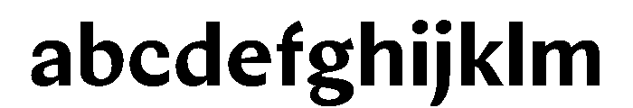 Noga Bold FONT