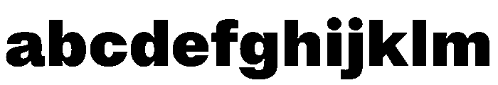 NoiGrotesk Black FONT