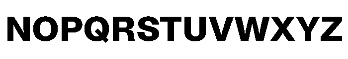 NoiGrotesk Bold Font UPPERCASE