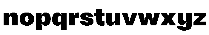 Noigrotesk Black Instance Font LOWERCASE