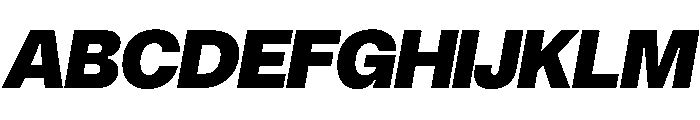 Noigrotesk BlackItalic Instance E4ba5ad9 Font UPPERCASE