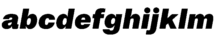 Noigrotesk BlackItalic Instance FONT