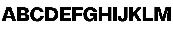 Noigrotesk Bold Instance 8cf5a6af Font UPPERCASE