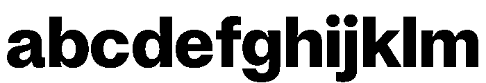 Noigrotesk Bold Instance 8cf5a6af FONT