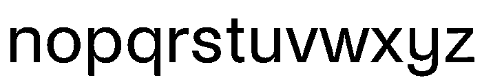 Noigrotesk Regular Instance Font LOWERCASE