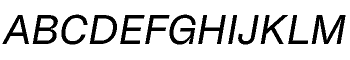 Noigrotesk RegularItalic Instance Font UPPERCASE